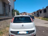 Usata Fiat Punto Evo 95 CV (69 kW) 2011 Bianco Utilitaria