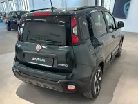 Usata Fiat Panda S 69 CV (50 kW) 2025 Verde Utilitaria