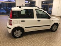 Usata Fiat Panda Dynamic 60 CV (44 kW) 2008 Bianco Utilitaria