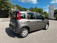 Usata Fiat Panda Easy 69 CV (50 kW) 2020 Grigio Utilitaria