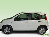 Begagnad Fiat Panda 70 HK (51 kW) 2023 Vit SUV