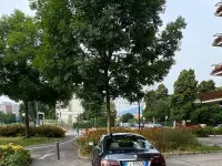 Usata Mercedes E250 2009 Grigio Coupé