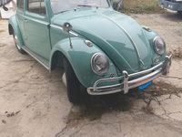 Usata VW Beetle 1960 Verde Utilitaria