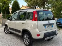 Usata Fiat Panda 4x4 S 75 CV (55 kW) 2013 Grigio Utilitaria