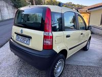 Usata Fiat Panda 4x4 70 CV (51 kW) 2007 Giallo Utilitaria