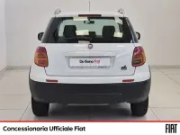 Usata Fiat Sedici Dynamic 120 CV (88 kW) 2014 Bianco SUV
