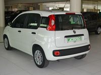 usata Fiat Panda 1.0 - 1.0 70cv hybrid