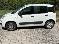 Usata Fiat Panda Easy 69 CV (50 kW) 2018 Bianco Utilitaria