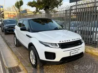 Usata Land Rover Range Rover evoque Pure 150 CV (110 kW) 2015 Bianco Berlina