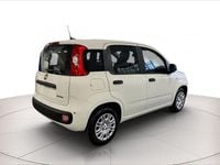 Nuova Fiat Panda S 70 CV (51 kW) 2025 Bianco gelato Utilitaria