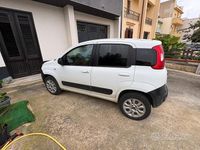 Usata Fiat Panda 4x4 75 CV (55 kW) 2014 Bianco Utilitaria