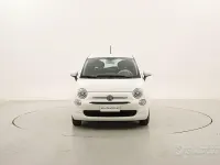 Usata Fiat 500 Pop 69 CV (50 kW) 2017 Bianco Utilitaria