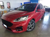 Usata Ford Kuga ST-Line X 150 CV (110 kW) 2020 Rosso SUV