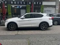 Usata Alfa Romeo Stelvio Business 209 CV (153 kW) 2019 SUV