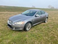 usata Jaguar XF 2.7D V6 207 CV Premium Luxury