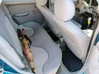 Usata Nissan Micra 60 CV (44 kW) 2001 Bluazzurro Utilitaria