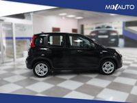 Usata Fiat Panda 70 CV (51 kW) 2024 Viola Utilitaria