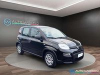 Usata Fiat Panda S 70 CV (51 kW) 2023 Nero Berlina