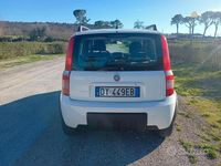 Usata Fiat Panda 4x4 2009 Bianco Utilitaria