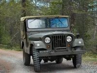 Usata Jeep Willys 1970 Verde SUV