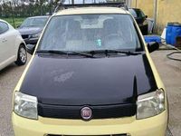 Usata Fiat Panda Climbing 60 CV (44 kW) 2008 Giallo Utilitaria