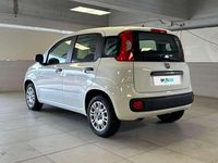 Usata Fiat Panda Easy 69 CV (50 kW) 2020 Bianco Berlina