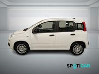 Nuova Fiat Panda S 69 CV (50 kW) 2025 Bianco Utilitaria