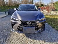 Usata Lexus NX450h+ 185 CV (136 kW) 2024 Grigio SUV