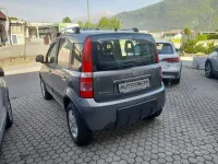 Usata Fiat Panda 4x4 Climbing 60 CV (44 kW) 2010 Grigio Utilitaria