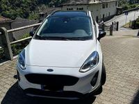Usata Ford Fiesta Active 101 CV (74 kW) 2019 Utilitaria