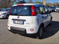 usata Fiat Panda New My22 1.0 70cv Hybrid