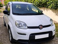 Usata Fiat Panda 70 CV (51 kW) 2024 Bianco Utilitaria