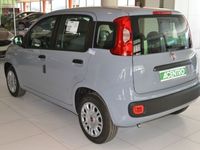 usata Fiat Panda 1.2 - serie 3 1.2 69cv s&s easy euro 6d-temp