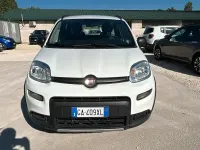Usata Fiat Panda 4x4 S 85 CV (62 kW) 2020 Bianco Utilitaria