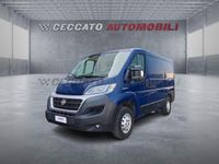 Usata Fiat Ducato 115 CV (84 kW) 2019 Blu Furgone