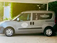 Usata Fiat Doblò Dynamic 135 CV (99 kW) 2011 Argento Monovolume
