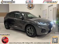 Usata Ford Kuga ST-Line 120 CV (88 kW) 2023 Other SUV