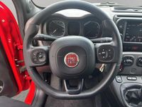 Usata Fiat Panda Sport 69 CV (50 kW) 2021 Rosso Utilitaria