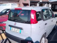 Usata Fiat Panda Cross Cross 69 CV (50 kW) 2022 Grigio Utilitaria