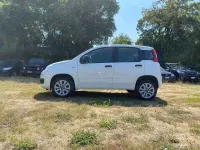 Usata Fiat Panda 86 CV (63 kW) 2018 Bianco Utilitaria