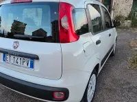 Usata Fiat Panda Easy 75 CV (55 kW) 2014 Bianco Utilitaria