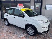 Usata Fiat Panda S 69 CV (50 kW) 2024 Bianco gelato Utilitaria