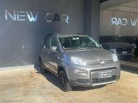 Usata Fiat Panda 4x4 Wild 86 CV (63 kW) 2022 Grigio Utilitaria