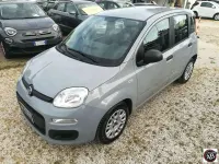 Usata Fiat Panda S 69 CV (50 kW) 2021 Grigio chiaro Utilitaria