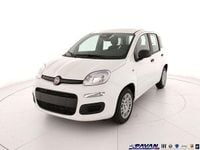 Nuova Fiat Panda Icon 65 CV (47 kW) 2026 Bianco Utilitaria