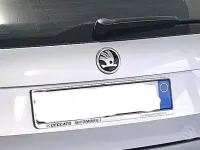 Usata Skoda Rapid 86 CV (63 kW) 2017 Grigio Utilitaria