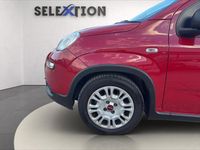 Usata Fiat Panda 70 CV (51 kW) 2024 Rosso Utilitaria