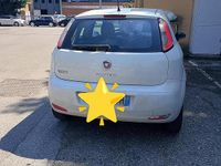 Usata Fiat Punto 77 CV (56 kW) 2013 Bianco Utilitaria