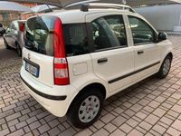 usata Fiat Panda Panda1.2 Dynamic eco