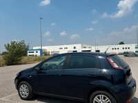 Usata Fiat Punto Evo 77 CV (56 kW) 2011 Blu Utilitaria